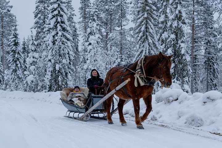 Horse-Drawn Sleigh Experience in Finnish Lapland — Kotatuli Winter Ride photo 2