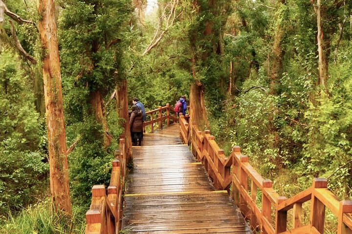 Bariloche Two-Day Highlights: Nahuel Huapi, Victoria Island & Arrayanes photo 2