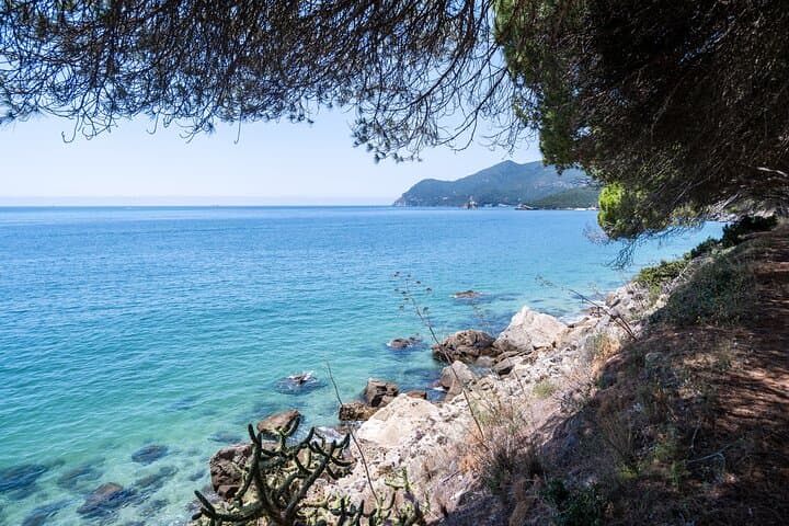 Lisbon to Arrábida Natural Park: Coastal Escapade from the City photo 3