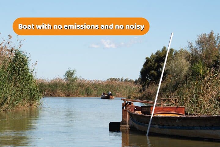 Albufera Natural Park Boat Tour: Barraca Visit, Electric Boat & Birdwatching from Valencia photo 4