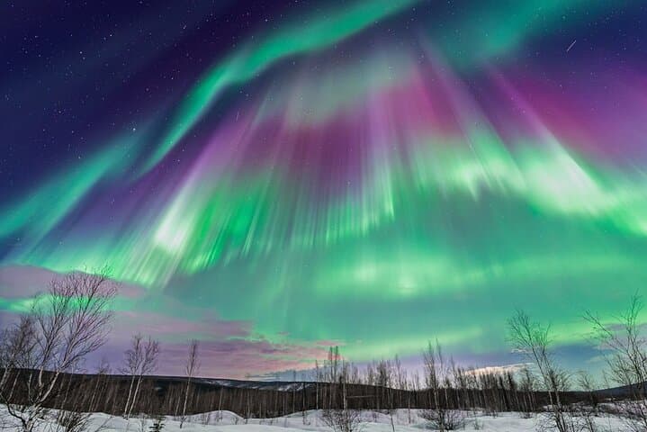 Aurora and Beyond: 12-Hour Fairbanks Premiere Northern Lights Chase photo 2
