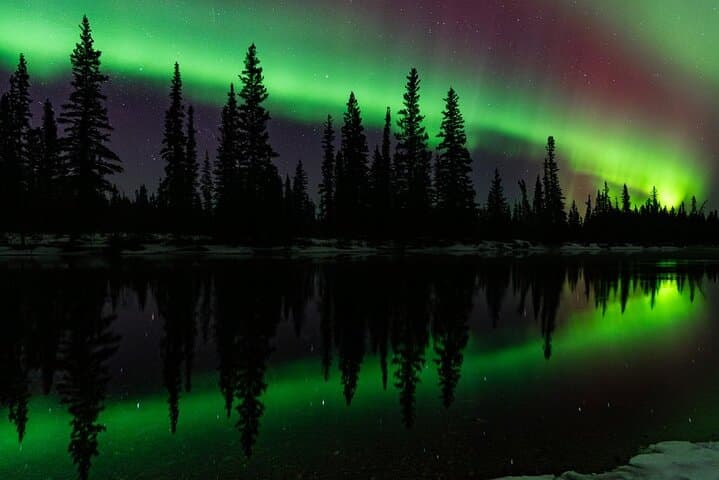 Aurora and Beyond: 12-Hour Fairbanks Premiere Northern Lights Chase photo 6