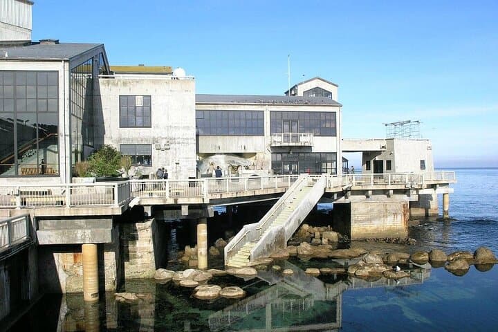 Half-Day Monterey Peninsula Sightseeing Tour — 17-Mile Drive, Carmel & Marine Wildlife photo 2