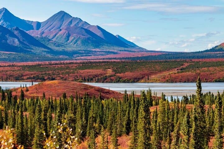 Denali Highway Overnight Excursion — Wild Berries, Glacial Views & Aurora photo 4