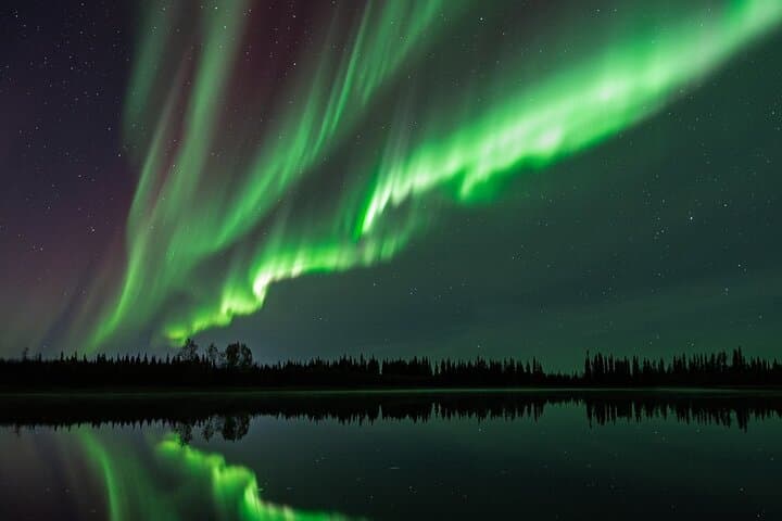 Denali Highway Overnight Excursion — Wild Berries, Glacial Views & Aurora photo 2