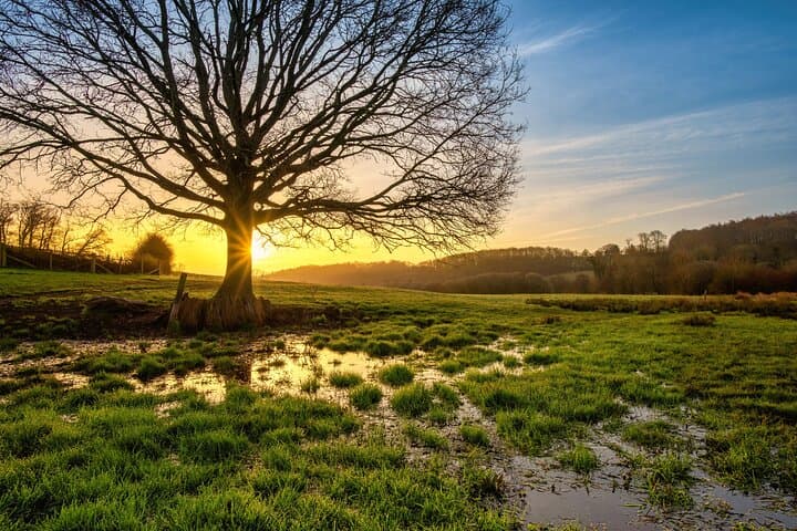 Chiltern Hills Guided Walk: Crystal Streams, Chalk Valleys & Sarratt Village photo 3