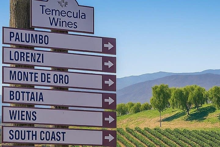 Drive Temecula’s Wine Trails: Self-Guided Tour of De Portola, Rancho California & Calle Contento photo 2