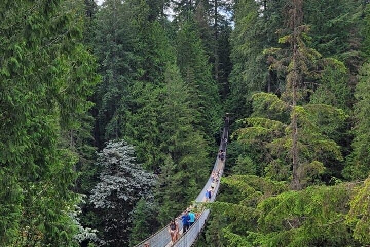 Vancouver Day Tour: Capilano Suspension Bridge and Stanley Park Highlights