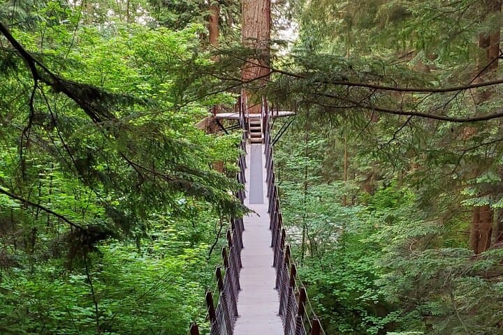 Vancouver Day Tour: Capilano Suspension Bridge and Stanley Park Highlights photo 3