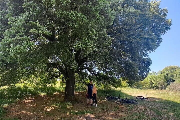 E-MTB Corfu: Durrells Farm & Grab Lake 30km Electric Mountain Bike Tour