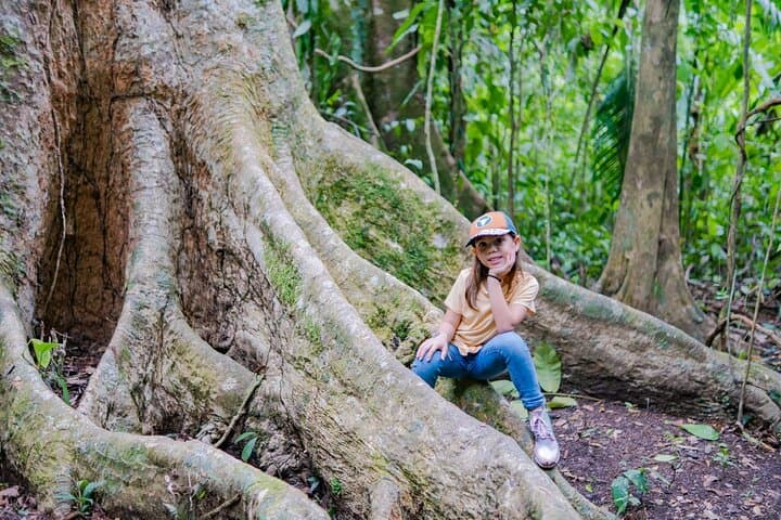 La Fortuna Self-Guided Rainforest Hike at Monkey Park — Wildlife Walk & Local Snack photo 4