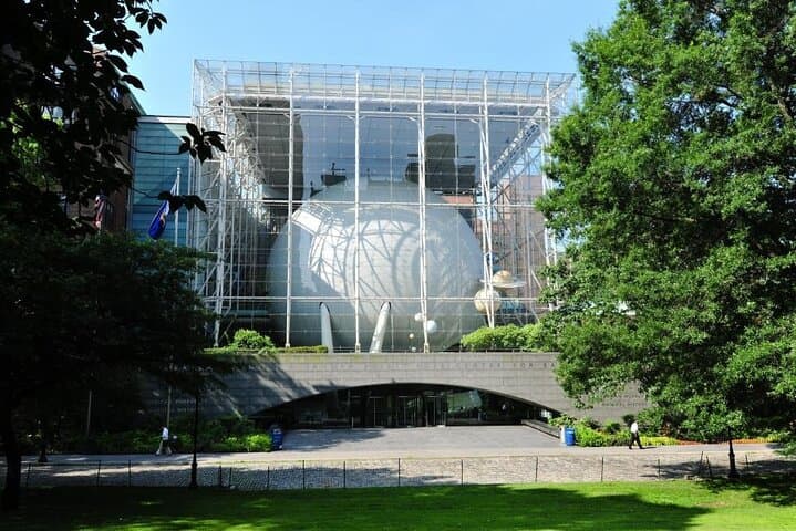 Inside the American Museum of Natural History: A Practical Visitor’s Guide photo 6