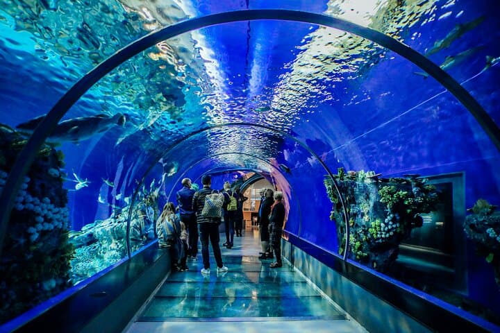 Underwater World Pattaya Aquarium — 100-Meter Tunnel, Sharks & Manta Rays photo 4