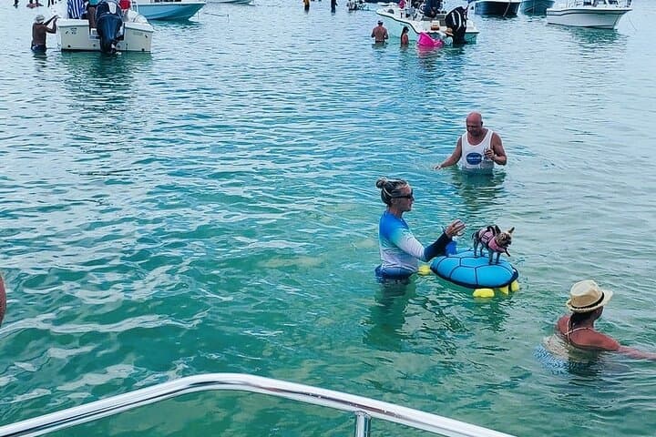 Private 3-Hour Charter to the Islamorada Sandbar: Swim, Float, and Wildlife Watching photo 3