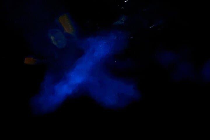 Grand Cayman Bioluminescent Bay Night Boat Charter photo 3