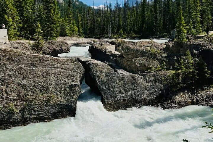 Banff Full-Day: Lake Louise, Moraine, Emerald Lake & Johnston Canyon Tour photo 4
