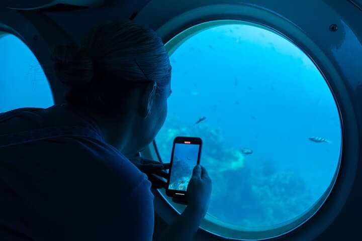 Atlantis Submarine Cozumel: Dive the Chankanaab Reef and Sunken Wrecks photo 3
