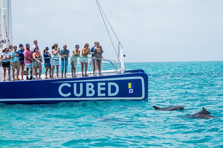 Key West Afternoon Dolphin Sail: 2.5-Hour Catamaran Dolphin Watch & Cruise photo 2
