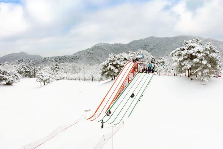Seoul Winter Day Trip: Eobi Ice Valley, Strawberry Picking & Vivaldi Park Sledding photo 5