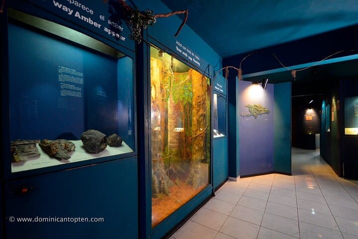 Amber Cove & Taino Bay Puerto Plata City Tour — Wine, Chocolate & Cigar Traditions photo 5