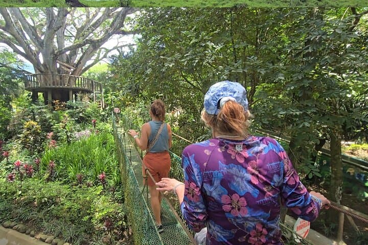 Sloth Discovery & Miravalles Hot Springs Day Tour from Tamarindo photo 5