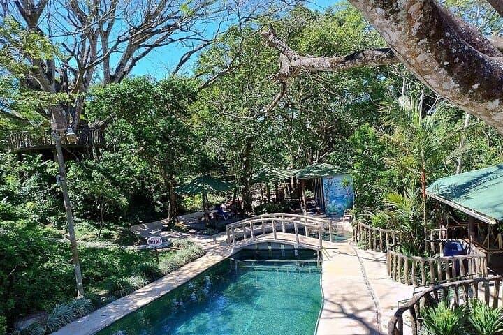 Sloth Discovery & Miravalles Hot Springs Day Tour from Tamarindo photo 2