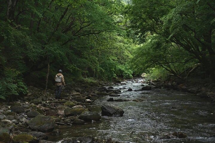Trout Fishing in Nishimera: Wild Yamame and Remote Rivers from Miyazaki City photo 2