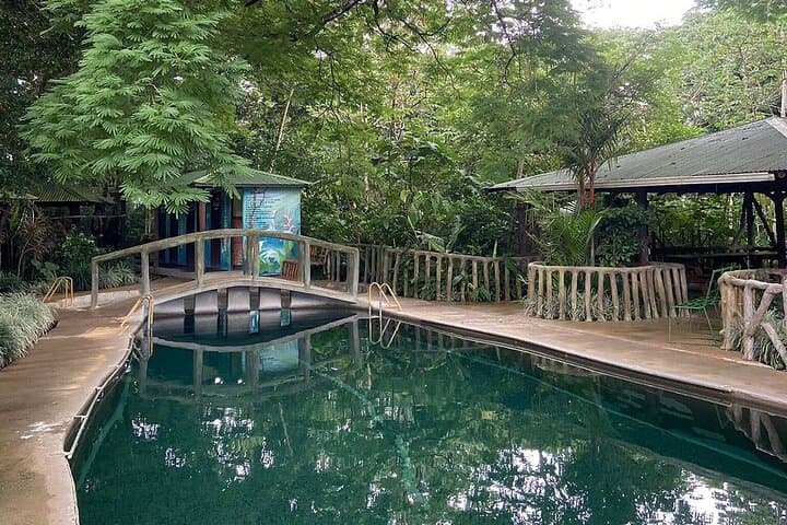 Sloth Discovery & Miravalles Hot Springs Day Tour from Tamarindo photo 6