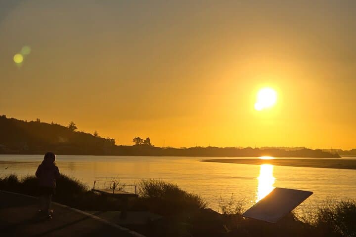 Explore Christchurch: A Coastal & City Adventure in One Day photo 5