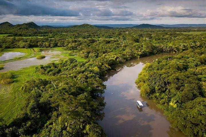 Palo Verde Boat Safari with Local Cuisine and Guaitil Pottery Workshop photo 4