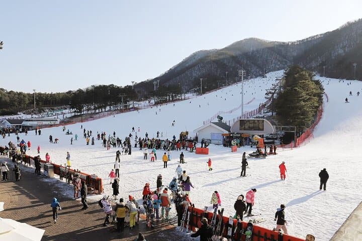 Day Trip to Jisan Forest Ski Resort from Seoul — Beginner Lessons & Shuttle photo 4