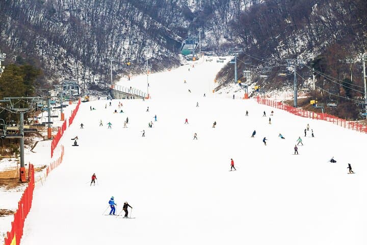 Day Trip to Jisan Forest Ski Resort from Seoul — Beginner Lessons & Shuttle photo 3