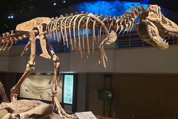 Drumheller Day Trip from Calgary: Private Badlands Tour & Royal Tyrrell Museum photo 5
