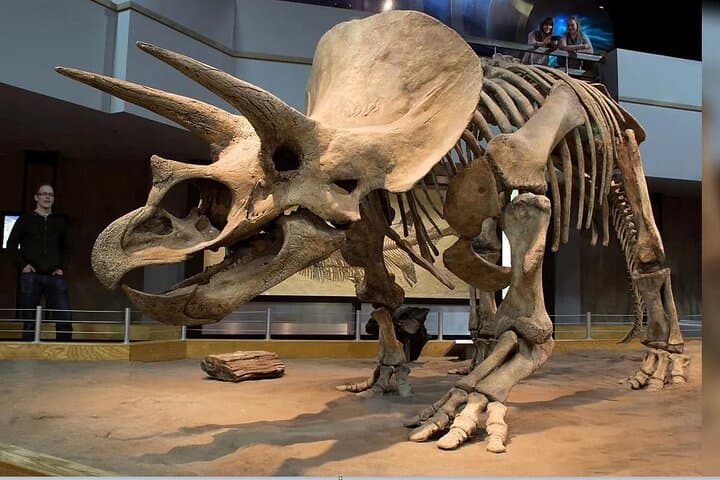 Drumheller Day Trip from Calgary: Private Badlands Tour & Royal Tyrrell Museum