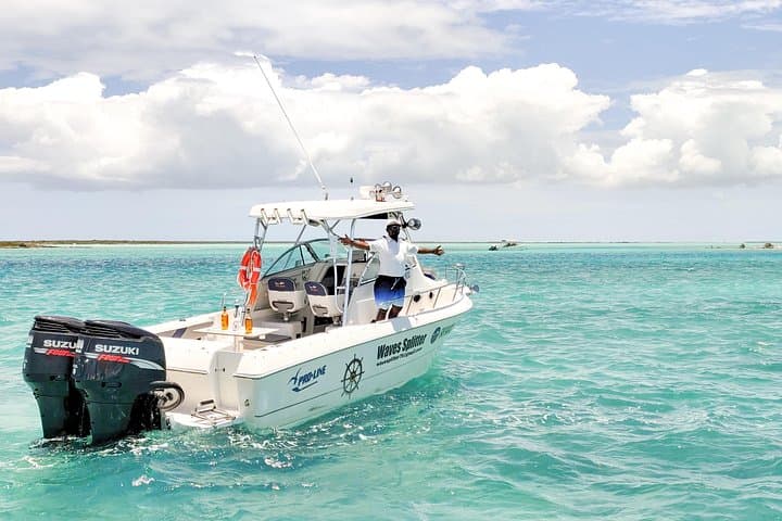 Half-Day Providenciales Snorkel Cruise to La Famille Shipwreck photo 3