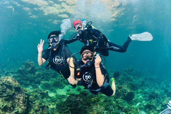 Half-Day Discover Scuba Diving from Phi Phi Don — Two Guided Dives at Phi Phi photo 3