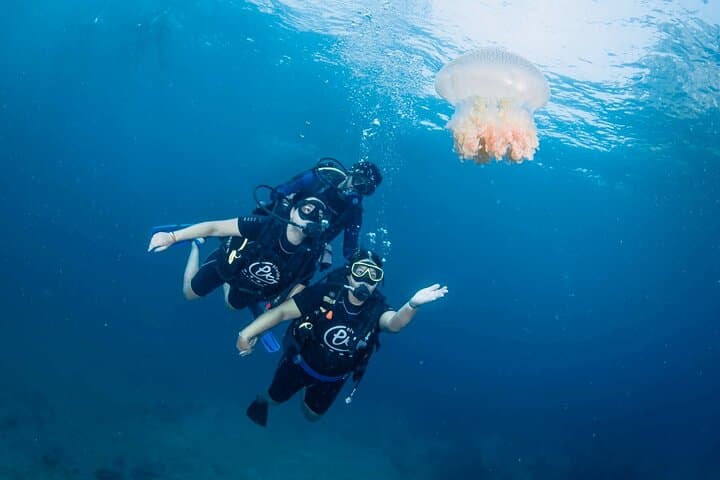 Half-Day Discover Scuba Diving from Phi Phi Don — Two Guided Dives at Phi Phi photo 4