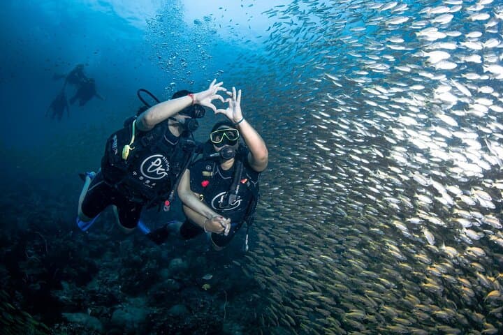 Half-Day Discover Scuba Diving from Phi Phi Don — Two Guided Dives at Phi Phi photo 5