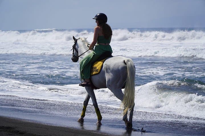 Sunrise Horse Riding on Sanur Beach, Bali — 1-Hour Guided Coastal Ride with Pickup photo 3