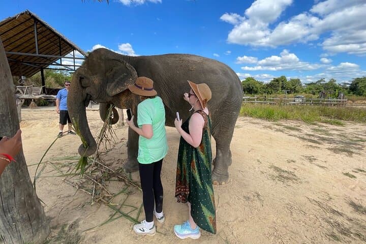 Elephant Sanctuary, Kbal Spean & Banteay Srei Day Tour — Ethical Wildlife and Angkor Highlights photo 3