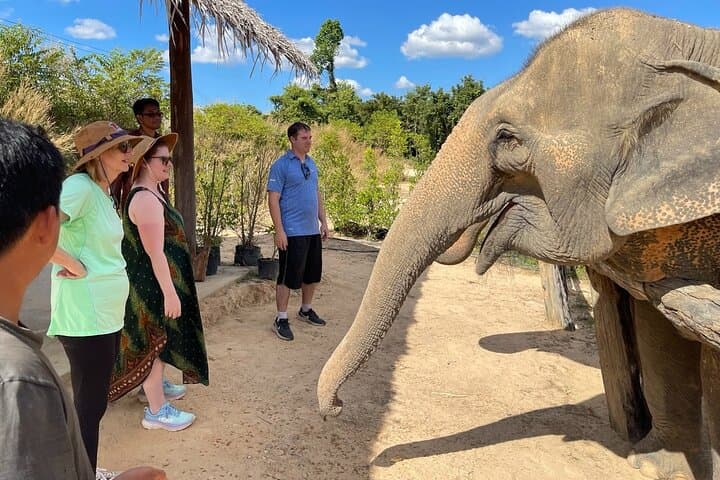 Elephant Sanctuary, Kbal Spean & Banteay Srei Day Tour — Ethical Wildlife and Angkor Highlights photo 2