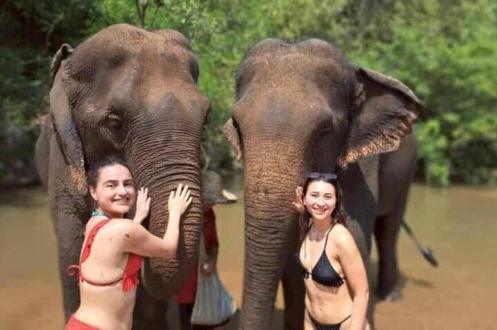 Elephant Sanctuary, Kbal Spean & Banteay Srei Day Tour — Ethical Wildlife and Angkor Highlights photo 5