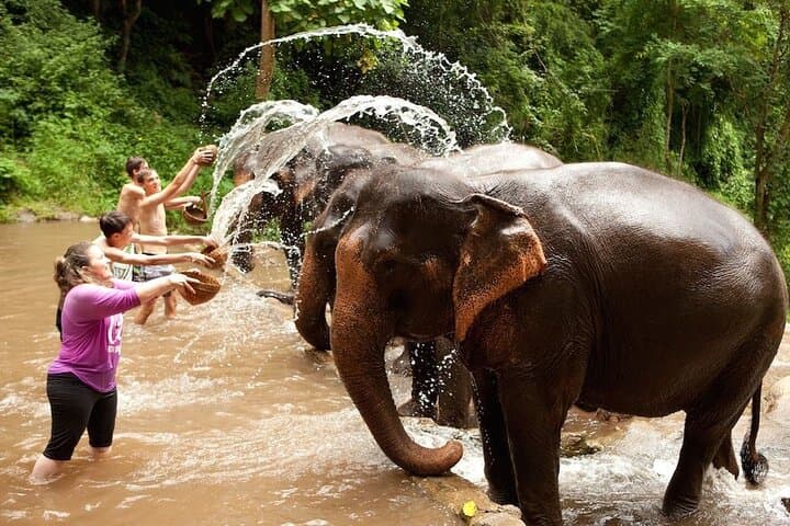 Elephant Sanctuary, Kbal Spean & Banteay Srei Day Tour — Ethical Wildlife and Angkor Highlights