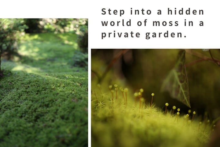Rural Hiroshima Tea Ceremony & Moss Garden Walk in a 200-Year-Old House photo 4