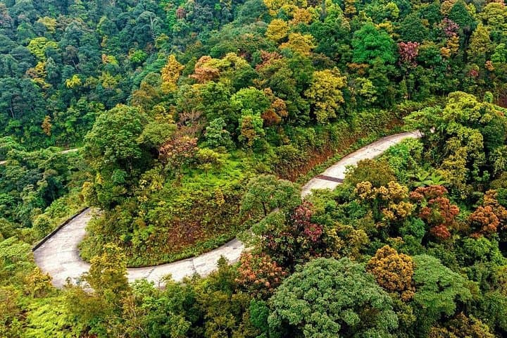 Bach Ma National Park & Hai Van Pass Private Tour — Five Lakes Hike, Lang Co Bay & Scenic Pass photo 4