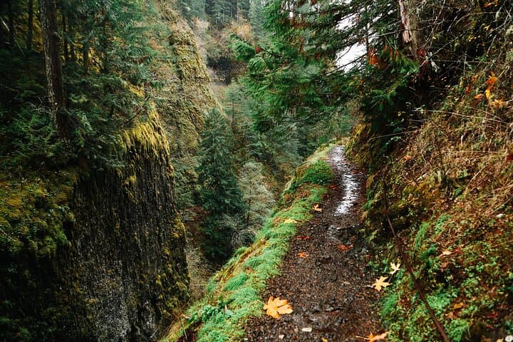 Mount Hood Loop Scenic Drive: Self-Guided Audio Tour of the Columbia River Gorge photo 6