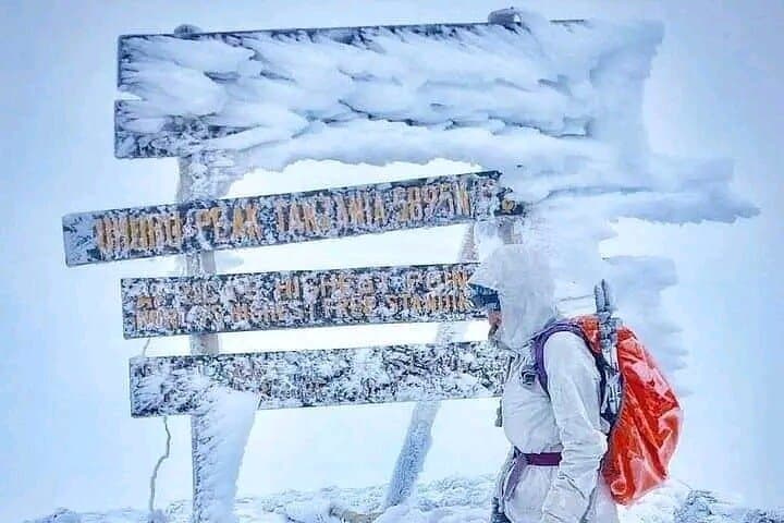 7-Day Lemosho Route Kilimanjaro: Ultimate Summit & Acclimatization Guide photo 2
