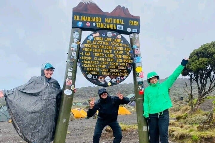 7-Day Lemosho Route Kilimanjaro: Ultimate Summit & Acclimatization Guide photo 3