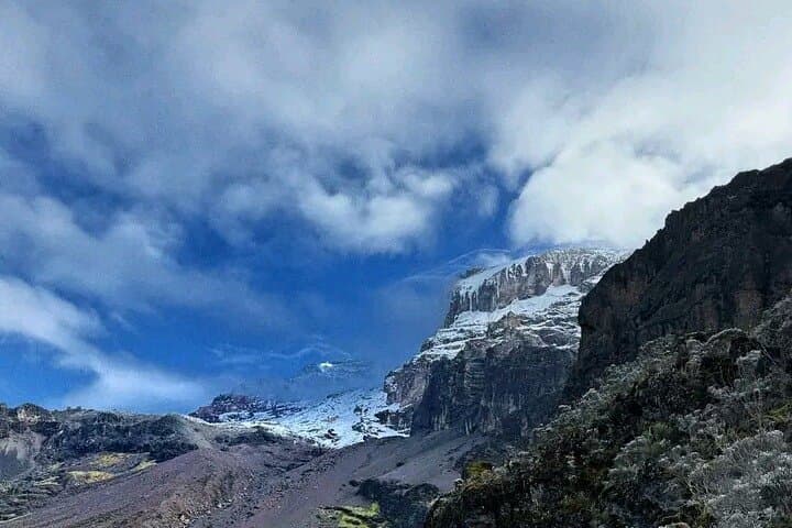 7-Day Lemosho Route Kilimanjaro: Ultimate Summit & Acclimatization Guide photo 6