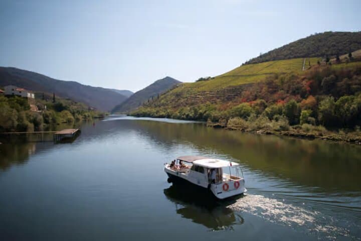 Douro River Cruise from Pinhão: Scenic Train Return Through Terraced Vineyards